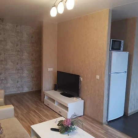 Apartment On Metro Frunzenskaya Apartment *